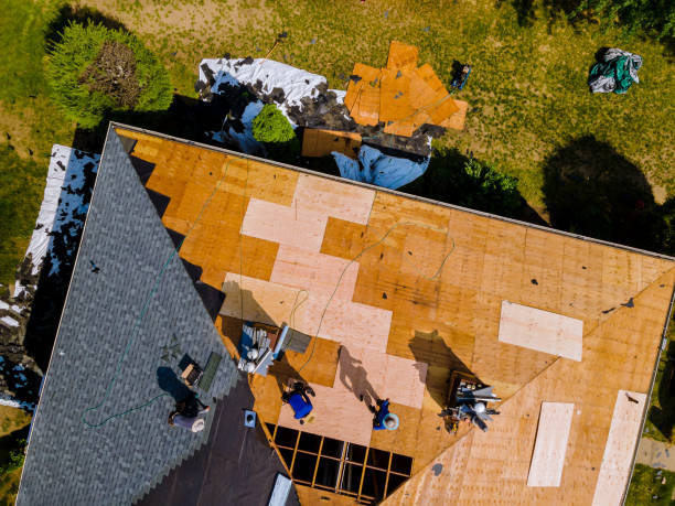 Best Commercial Roofing Services  in Shafer, MN