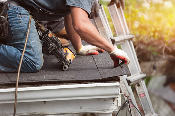 Best Metal Roofing Contractor  in Shafer, MN