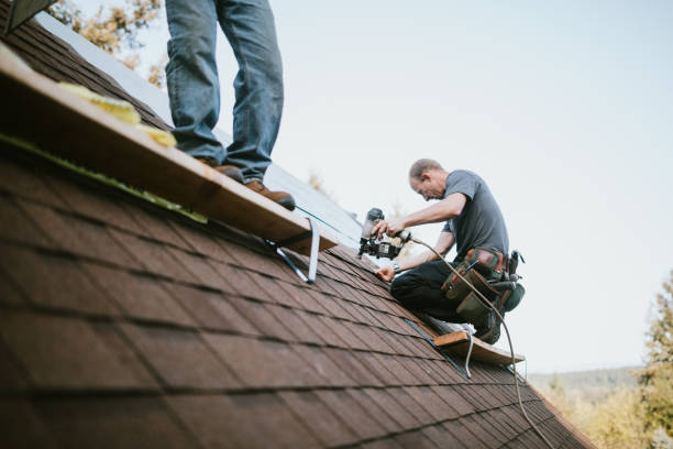 Best Flat Roof Repair Services  in Shafer, MN