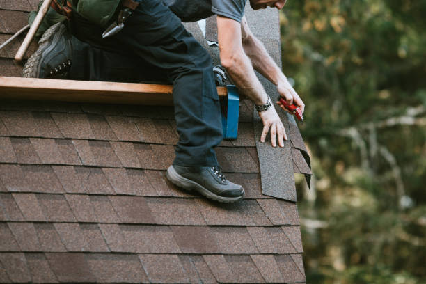 Best Commercial Roofing Services  in Shafer, MN