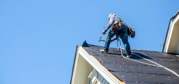 Best Roof Maintenance Services  in Shafer, MN